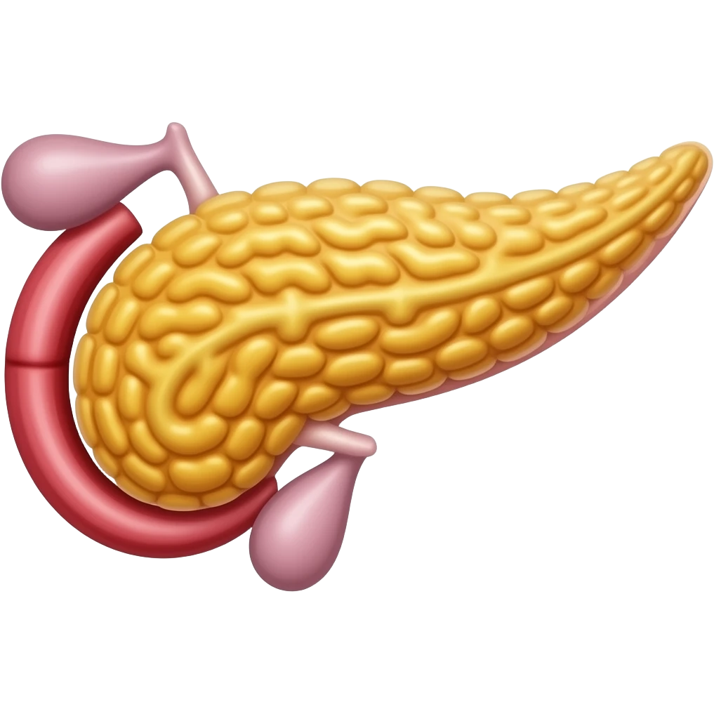 create a pancreas emoji that rsembles real anatomy of the pancreas emoji