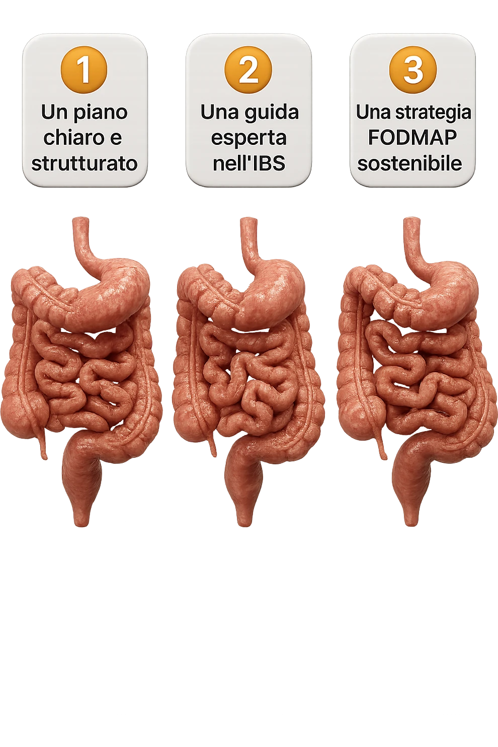emoji stile iphone di 3 targhette numerate con intestino realistico davanti ad ogni targhetta, le targhette sono:
"1 – Un piano chiaro e strutturato
2 – Una guida esperta nell’IBS
3 – Una strategia FODMAP sostenibile"
, iperrealistico 4k emoji