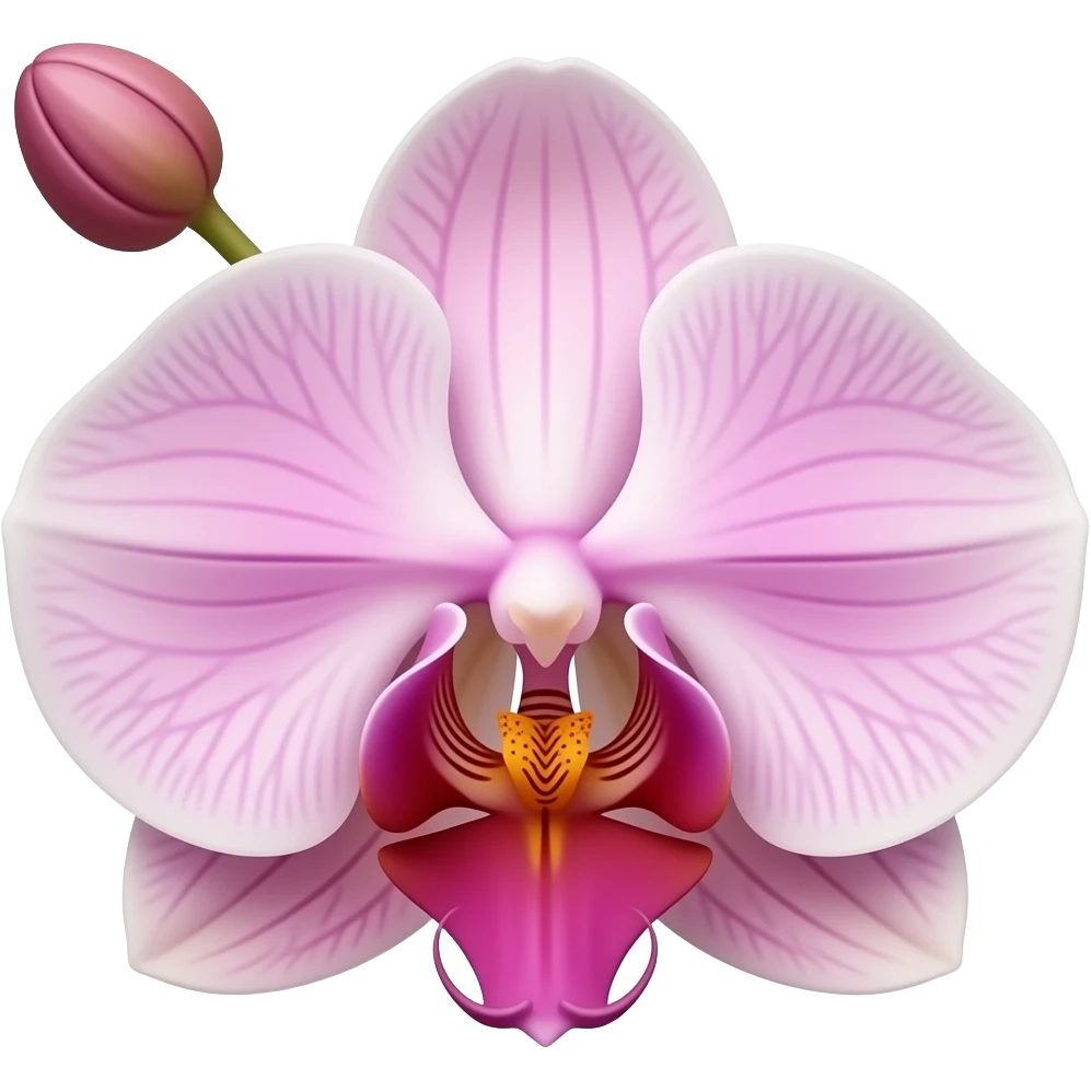Orchid beautiful flower showing elegance bouquet colourful emoji
