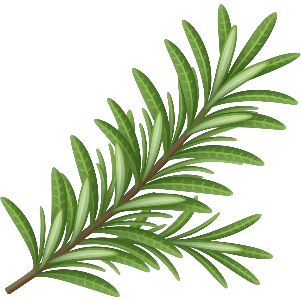 Rosemary emoji