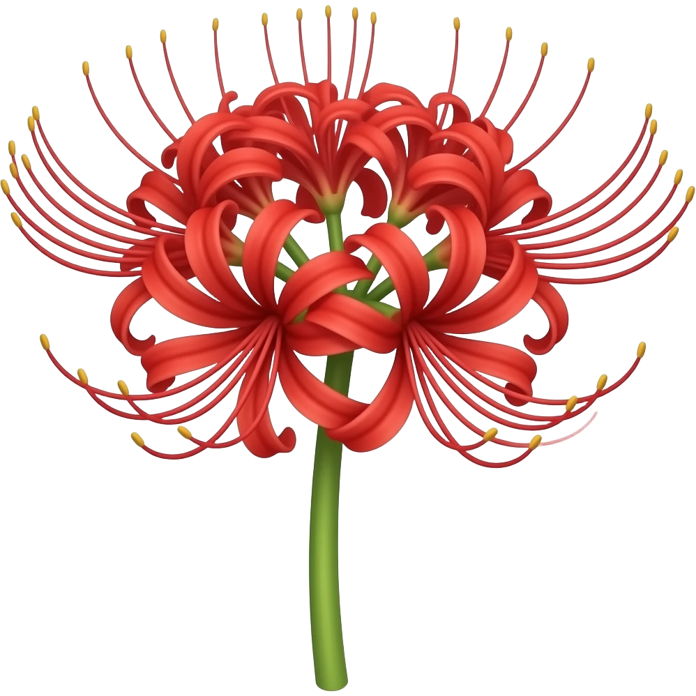 Fleur Lycoris rouge emoji
