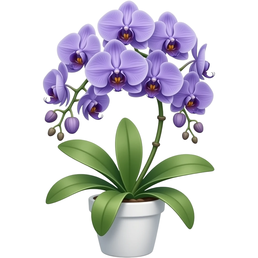 Orange blue Orchid in a white pot emoji