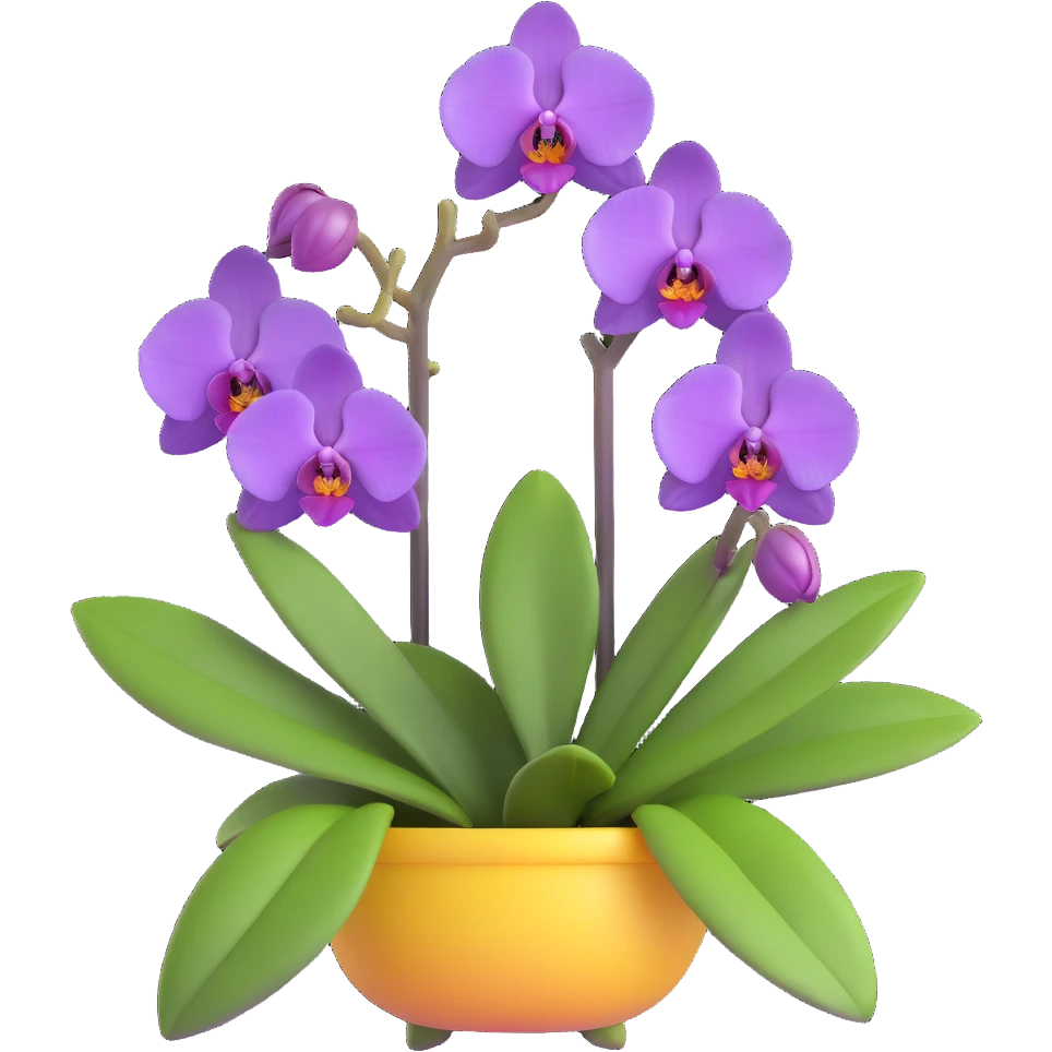 Realistic purple phalaenopsis orchid with rich lavender blooms and prominent large green leaves clearly visible emoji