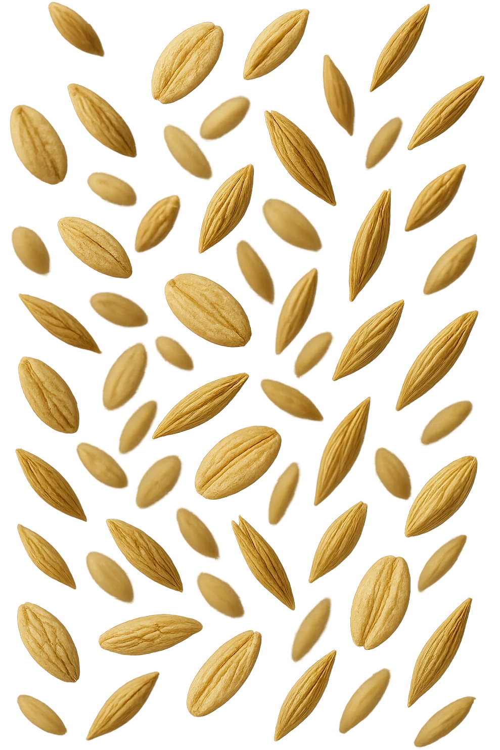Avena e orzo FLUTTUANO IN ARIA, iperrealistico 4k emoji