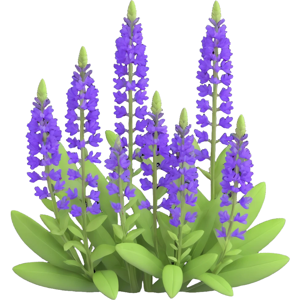 3D iOS cartoon style Salvia nemorosa with large purple flower clusters, lush green foliage, bright colors, soft shapes, volumetric, transparent background emoji