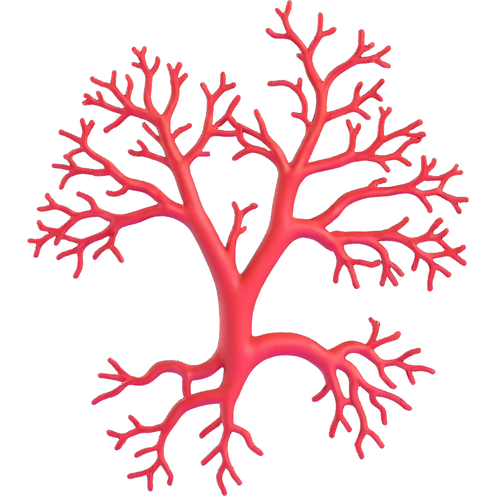 3D realistic blood vessel showing branching structure emoji