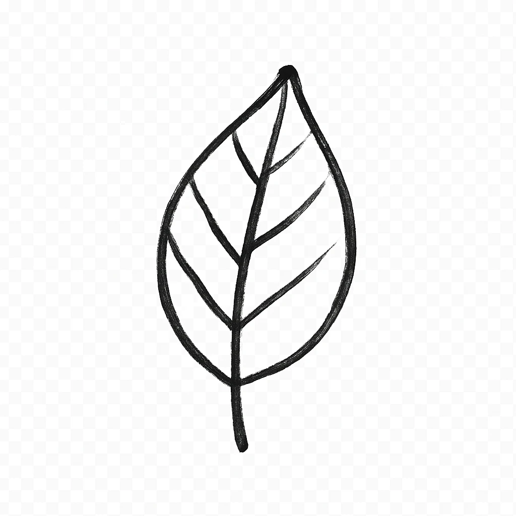 minimalist hand drawn black outline of a leaf on a white clean background emoji