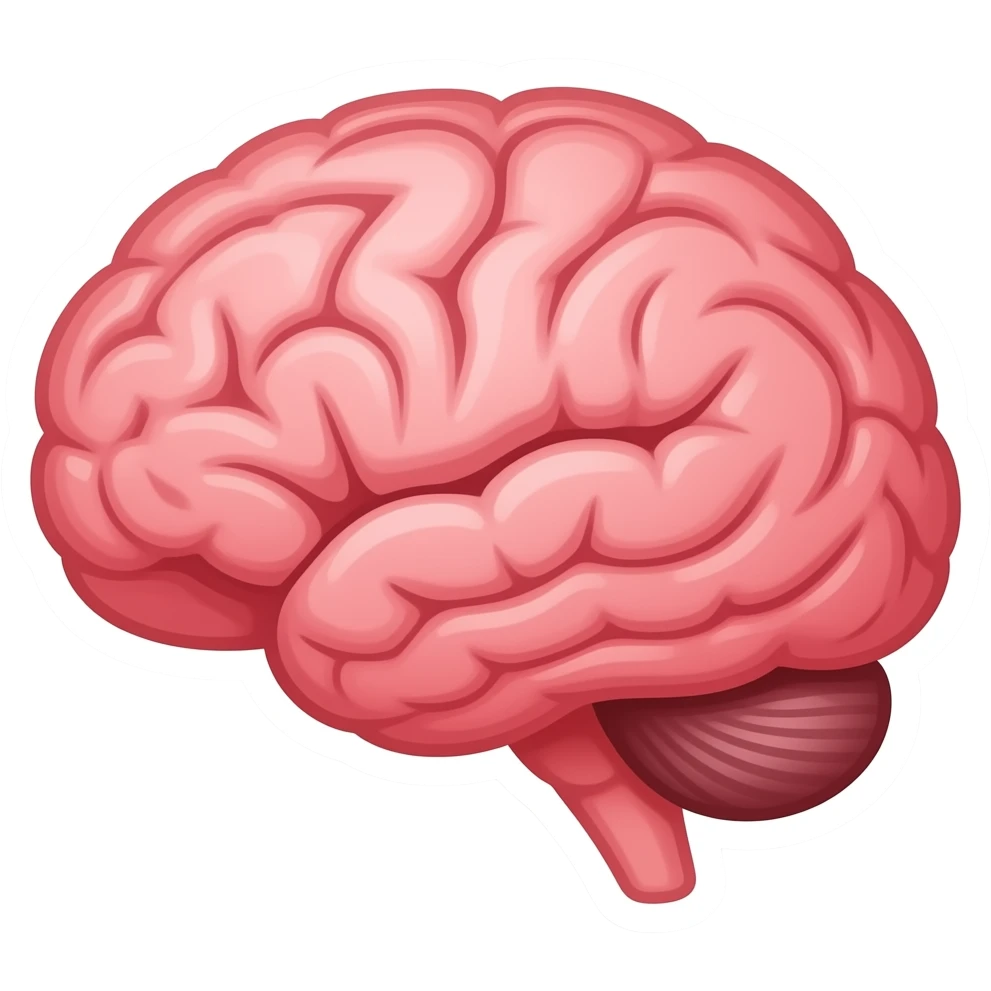Мозг, мультяшный 2д нарисованный стиль, стикер emoji