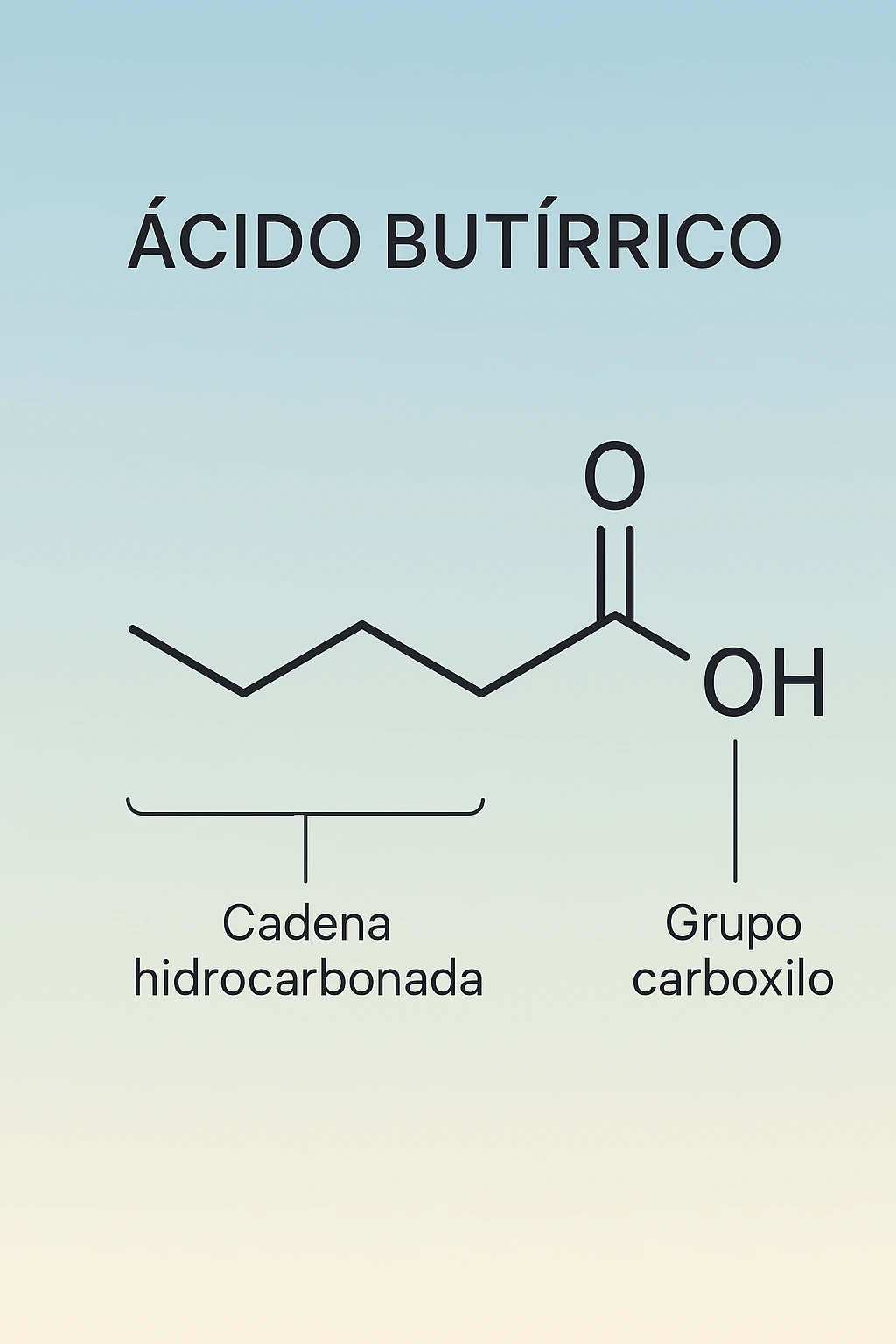 the acido butirrico molecule floats in the center, with animated arrows or labels pointing to the carboxyl group and the hydrocarbon chain. The background is a soft gradient, and the overall style is clean, professional, and suitable for educational materials. emoji