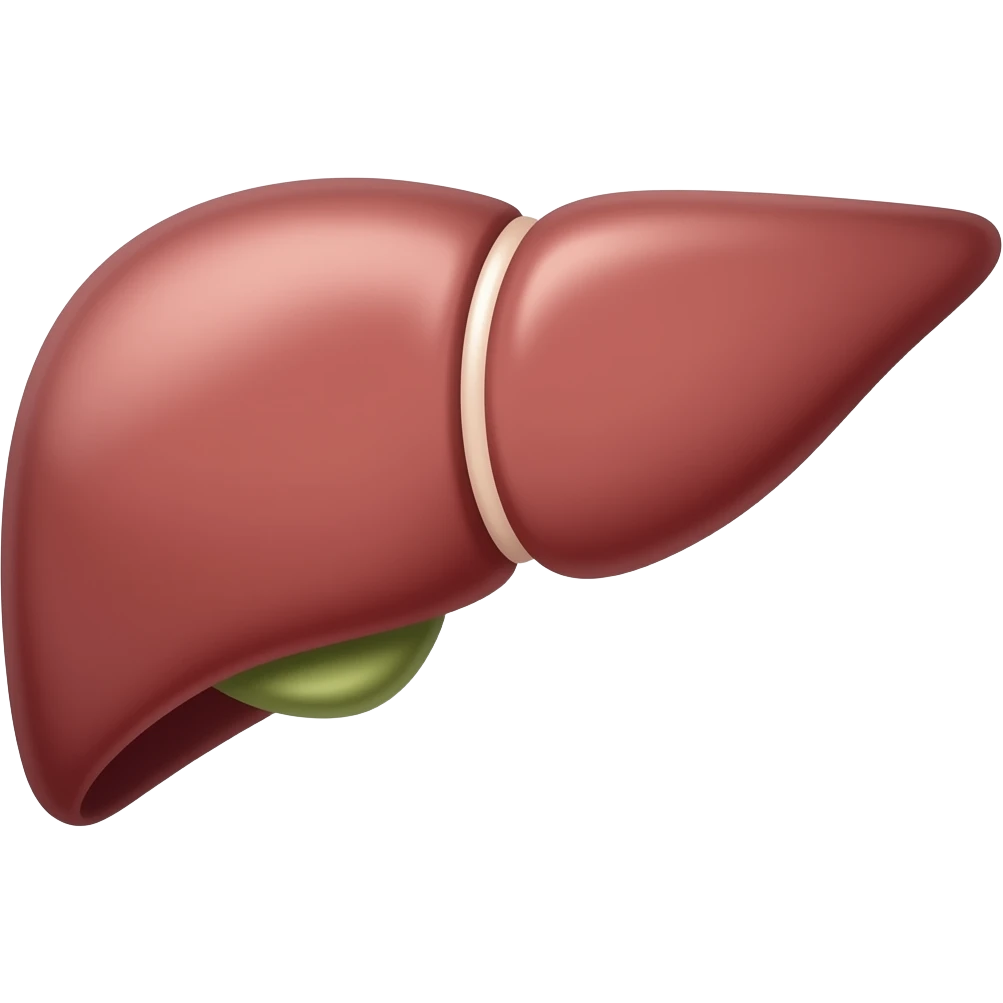Liver emoji