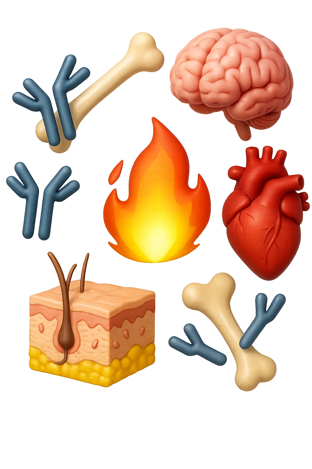 EMOJI STILE IPHONE 3D DI cervello, ossa, cuore, porzione di epidermide e cellule di anticorpi che girano in tondo, al centro di questi elementi c'è una fiamma 3d  FALLO MOLTO REALISTICO IN 3D emoji