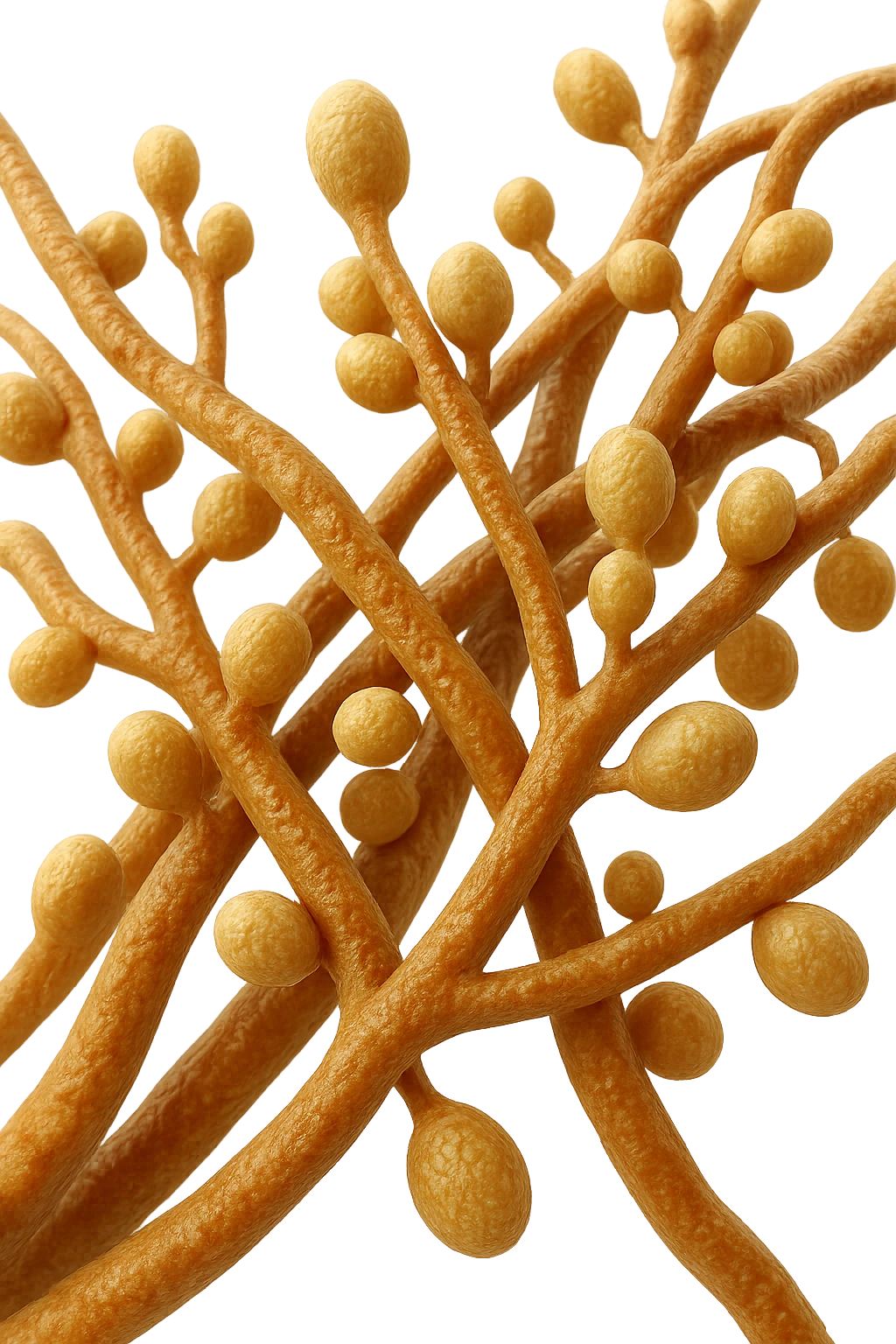 CANDIDA INTESTINALE, IPERREALISTICA 4K emoji