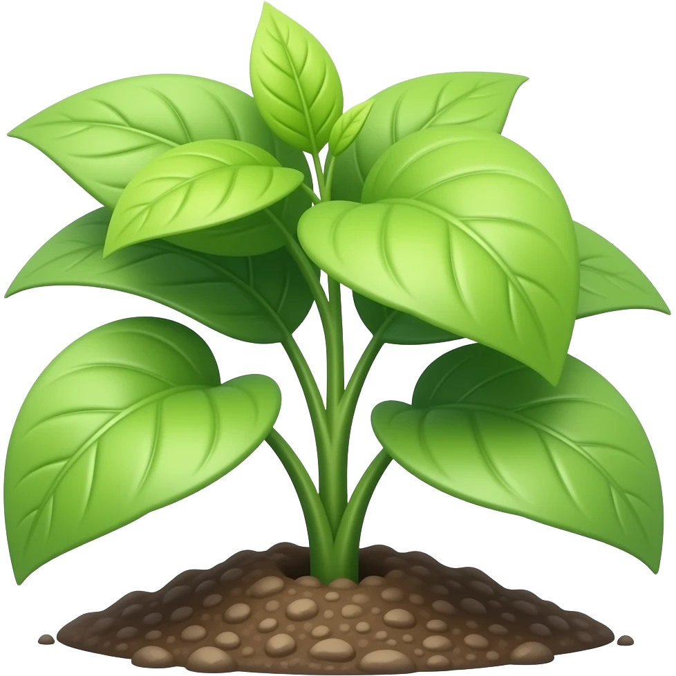 green plant from the ground with leafs emoji