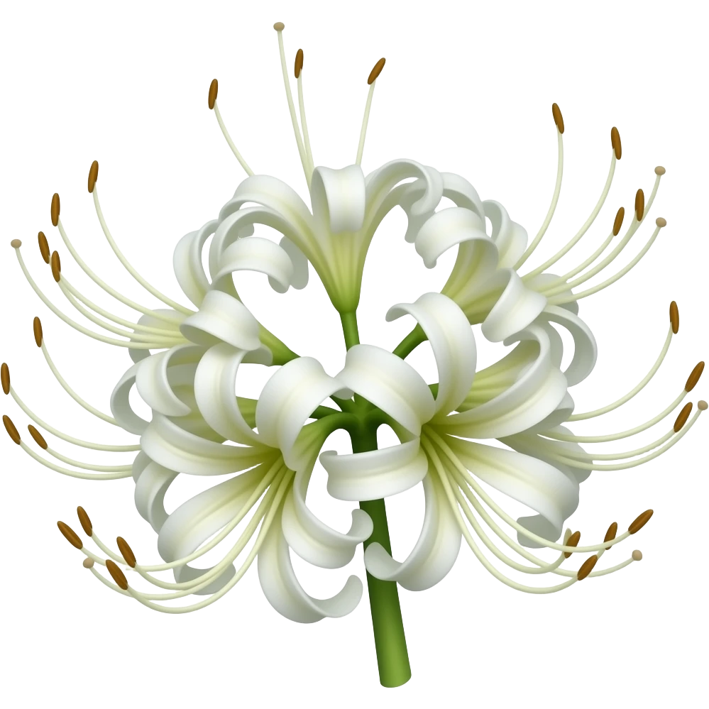 Spider lily emoji