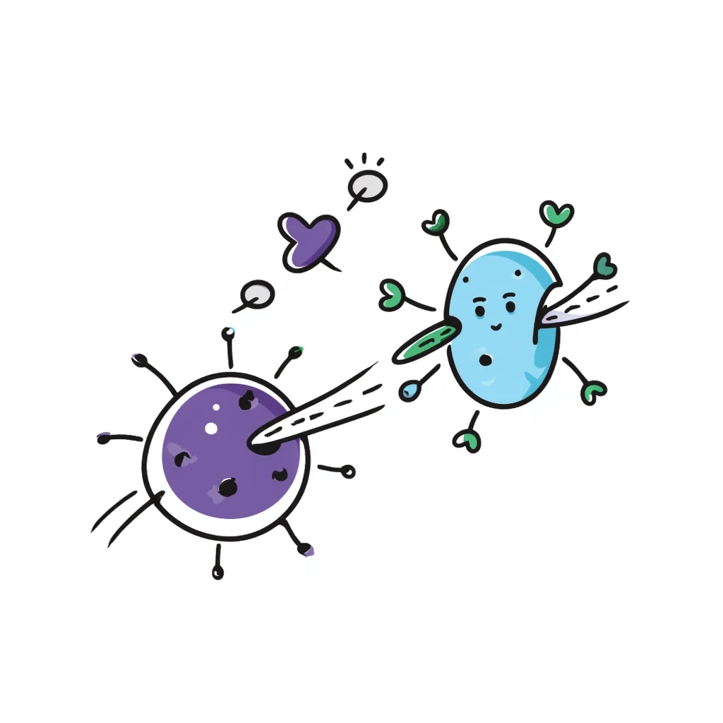 Antimicrobial action diagram: purple bacteria with detailed cell structure being attacked by blue shield-shaped antimicrobial molecules. Green arrows showing points of attack on cell wall and membrane. Hand-drawn scientific illustration with color-coded components. emoji