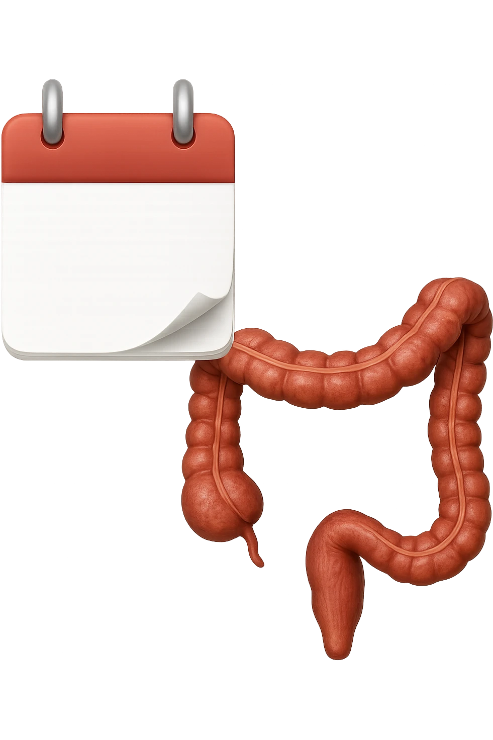 emoji stile iphone di un calendario con fogli che volano insieme a pezzi anatomici di colon umano, iperrealistico 4k, isolato su sfondo bianco emoji