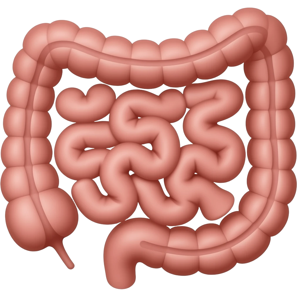 red appendix in bowel anatomy image emoji