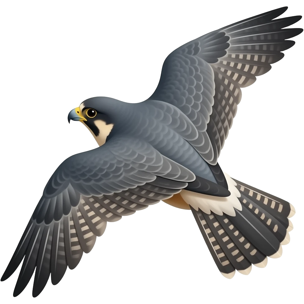 Falcon gliding, looking from behind emoji