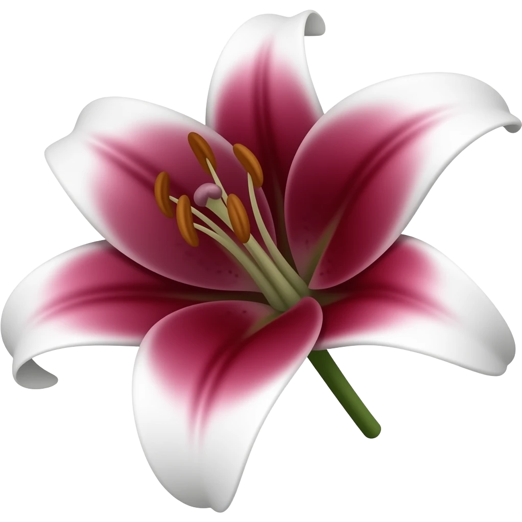 I want single maroon lily flower with white borders on the petals emoji to copy paste ...emoji please emoji