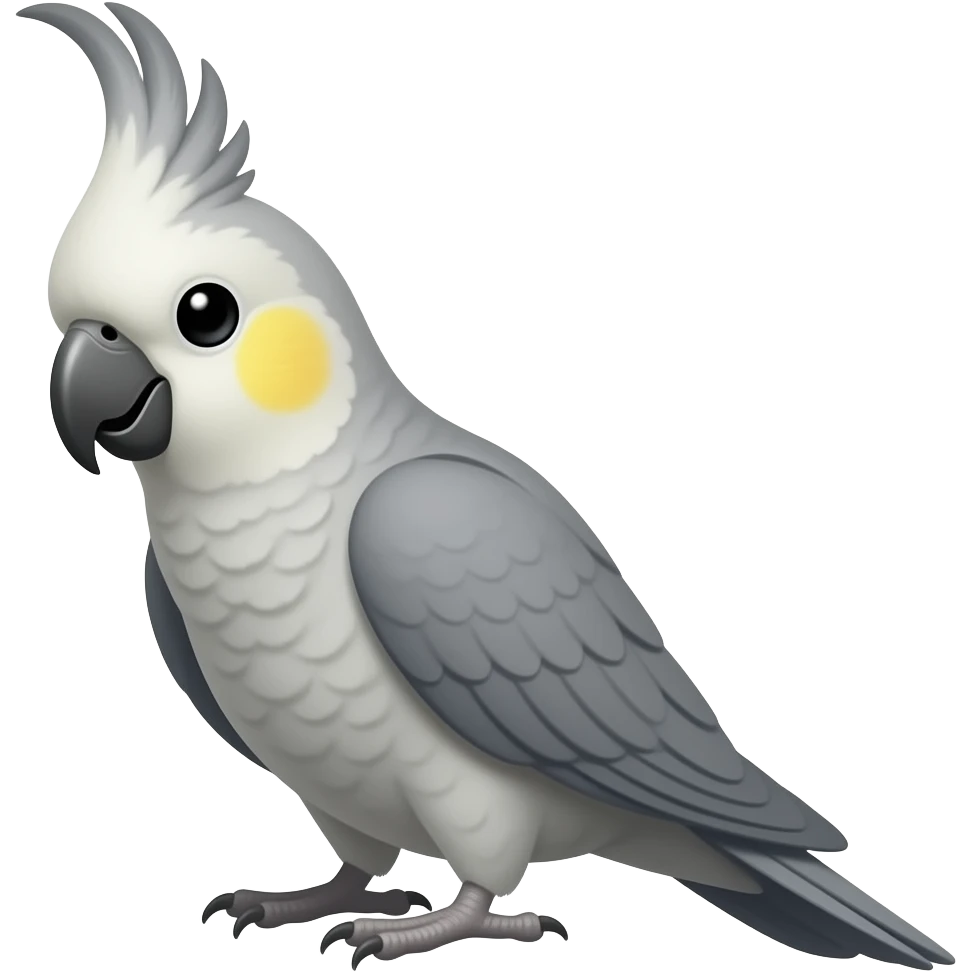 una cacatua ninfa con el cuerpo de color gris y con sus mejillas amarillas y su cresta del color del cuerpo y asla un poco mas flaca emoji