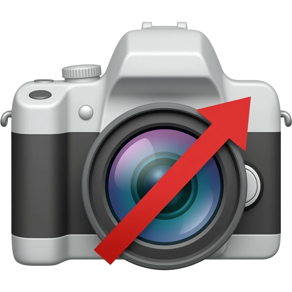 Camera Server  system is down emoji