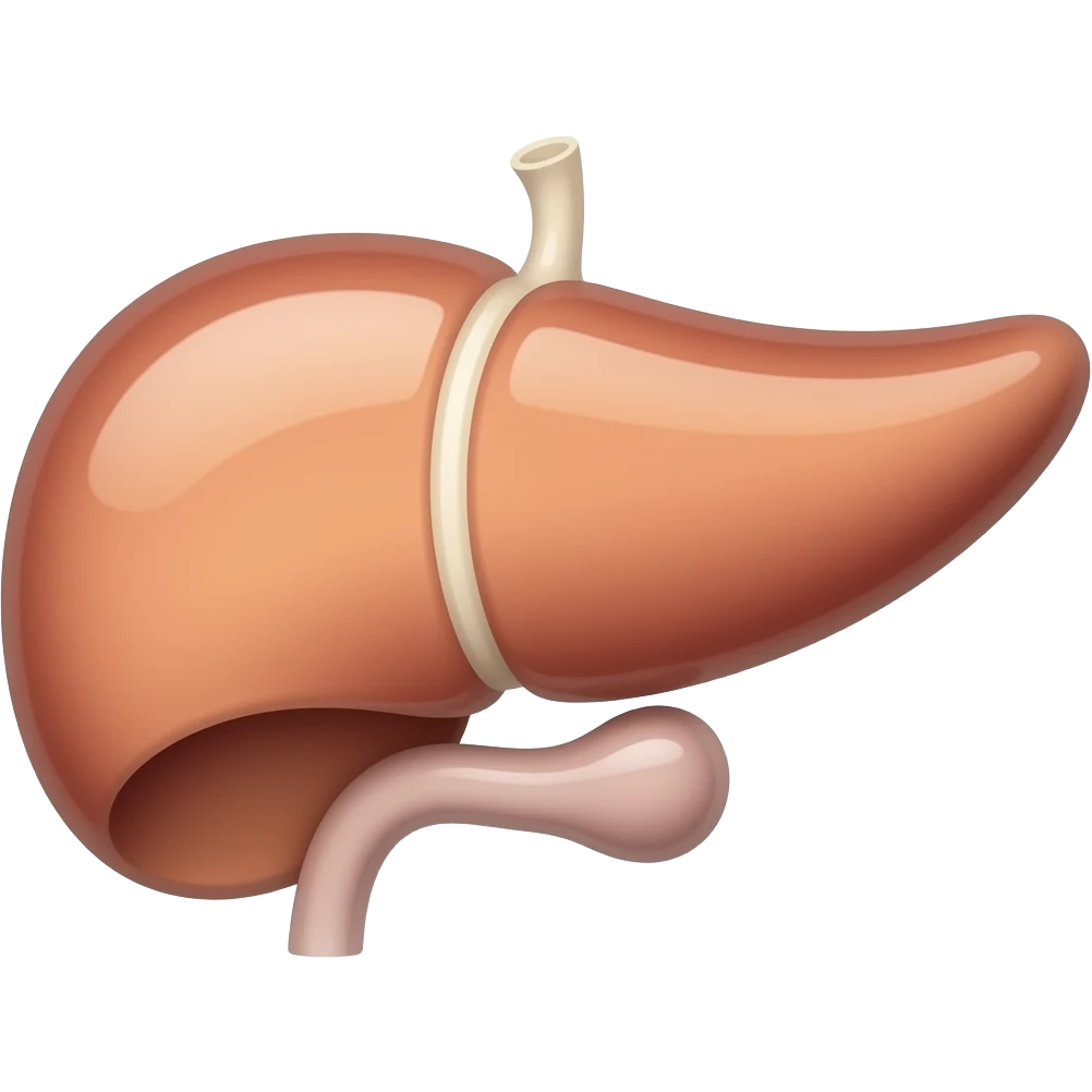 pancreas anatomical image emoji