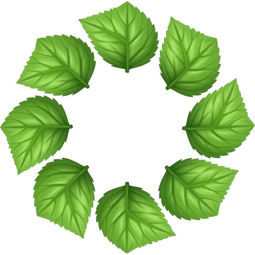 Mint circle emoji