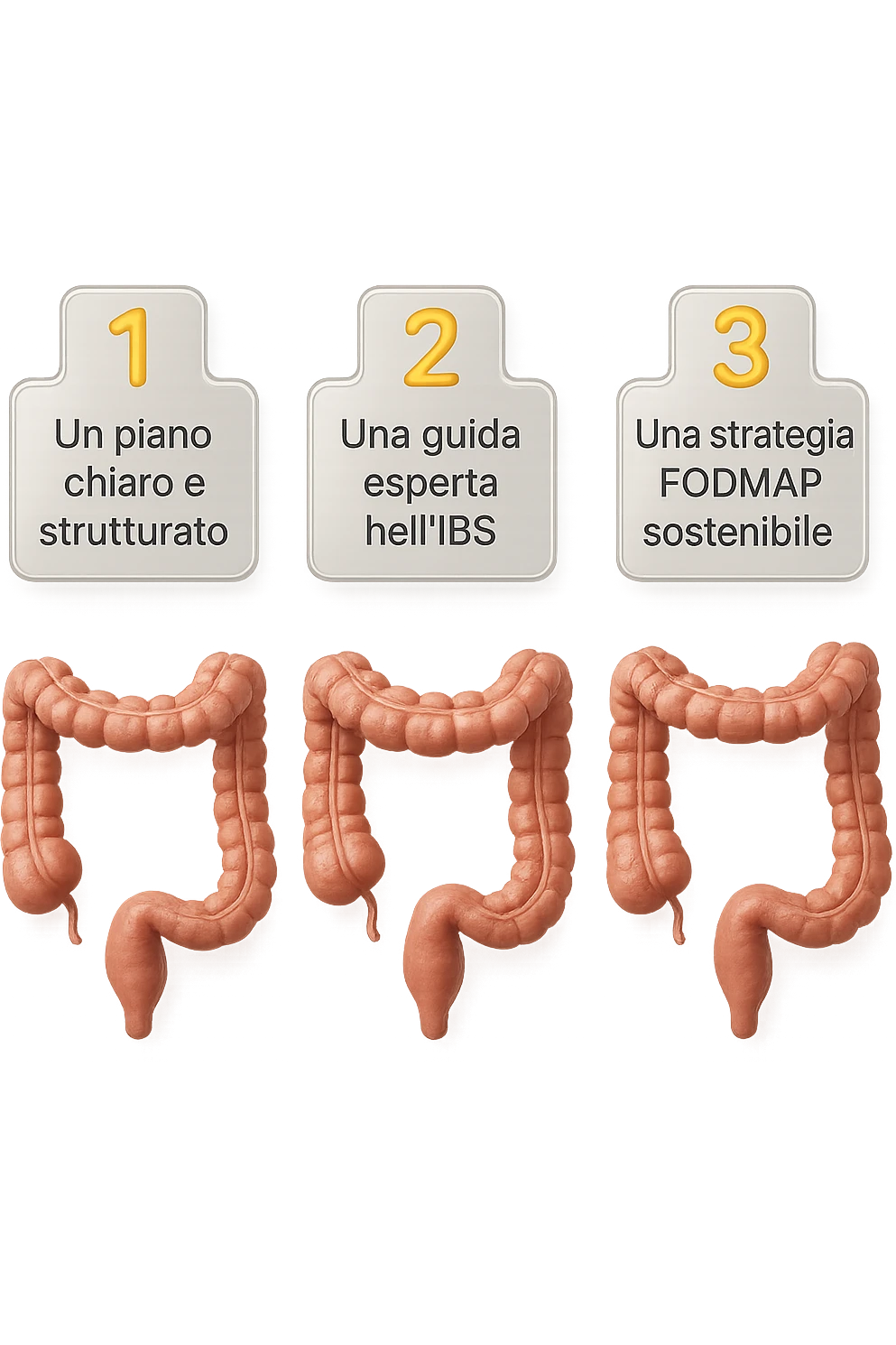 emoji stile iphone di 3 targhette numerate con intestino realistico davanti ad ogni targhetta, le targhette sono:
"1 – Un piano chiaro e strutturato
2 – Una guida esperta nell’IBS
3 – Una strategia FODMAP sostenibile"
, iperrealistico 4k emoji