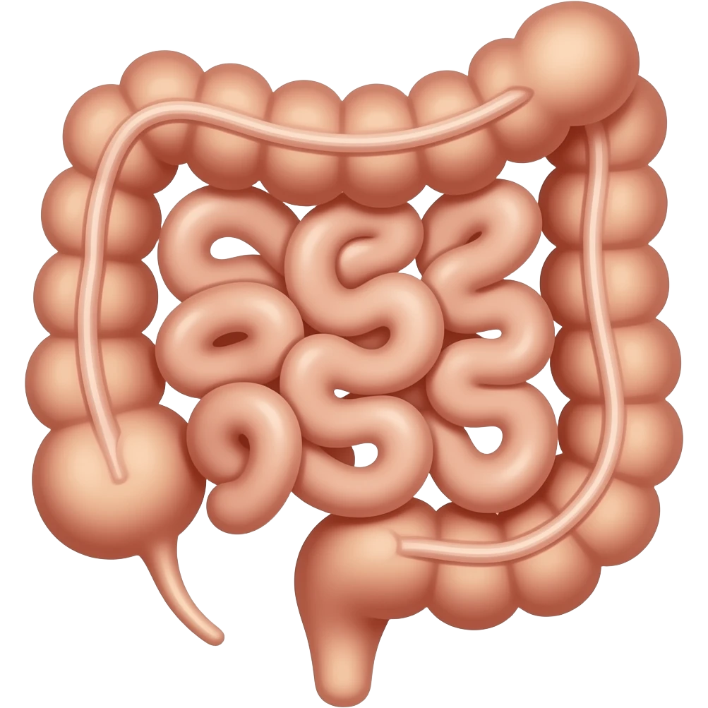 Colon with haustra and diverticulosis emoji