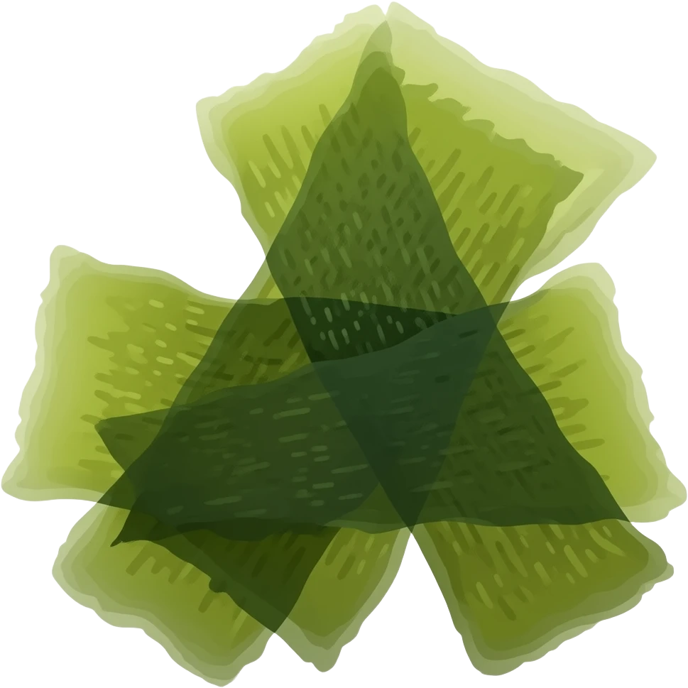 dried seaweed emoji