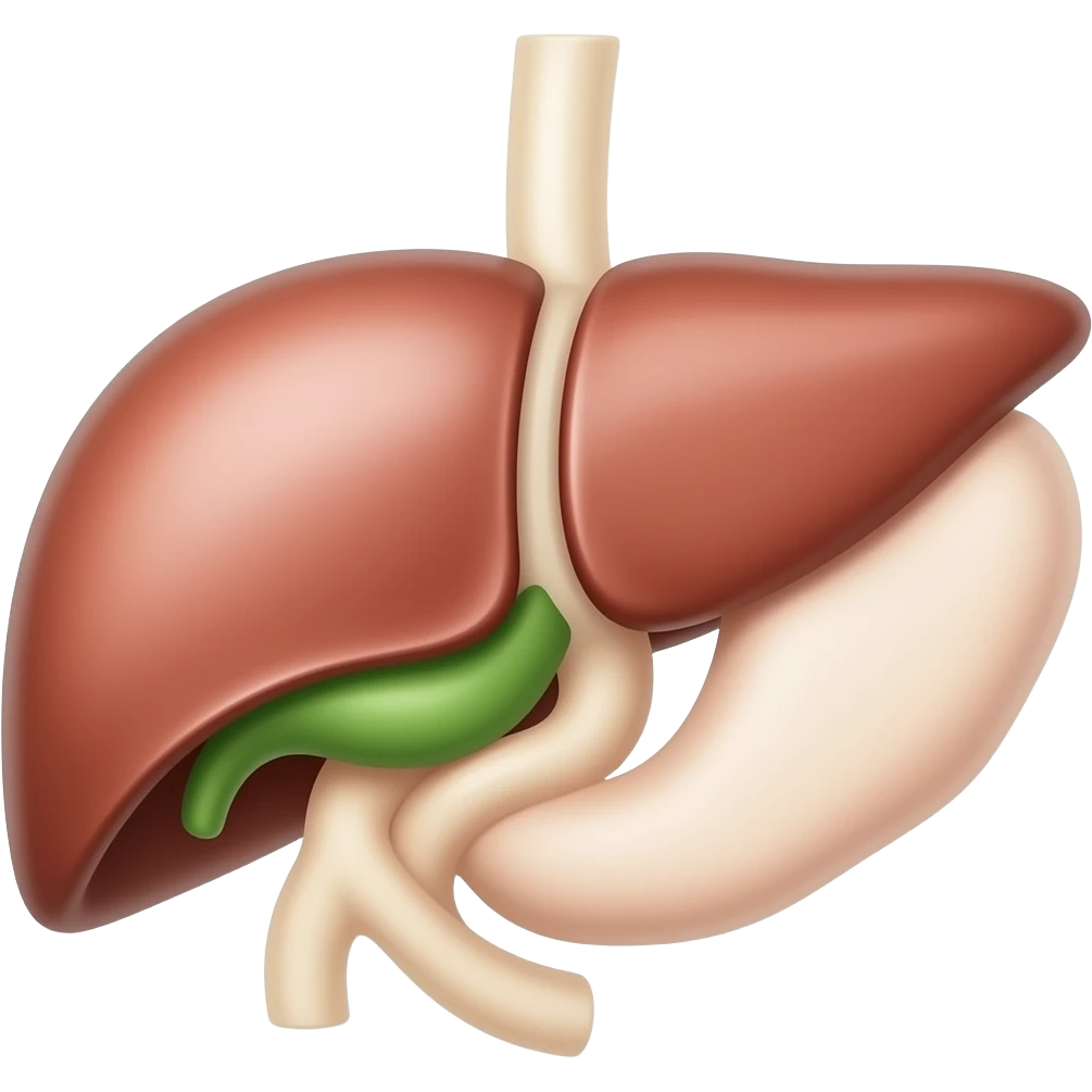liver with green gallblader anatomy emoji