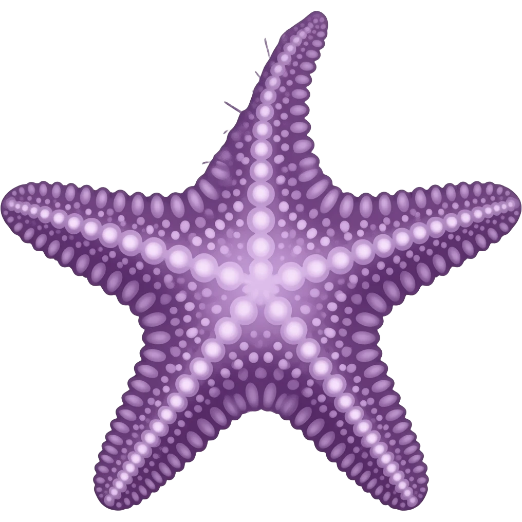 Seastar with one lifted ray from perspective purple outline emoji