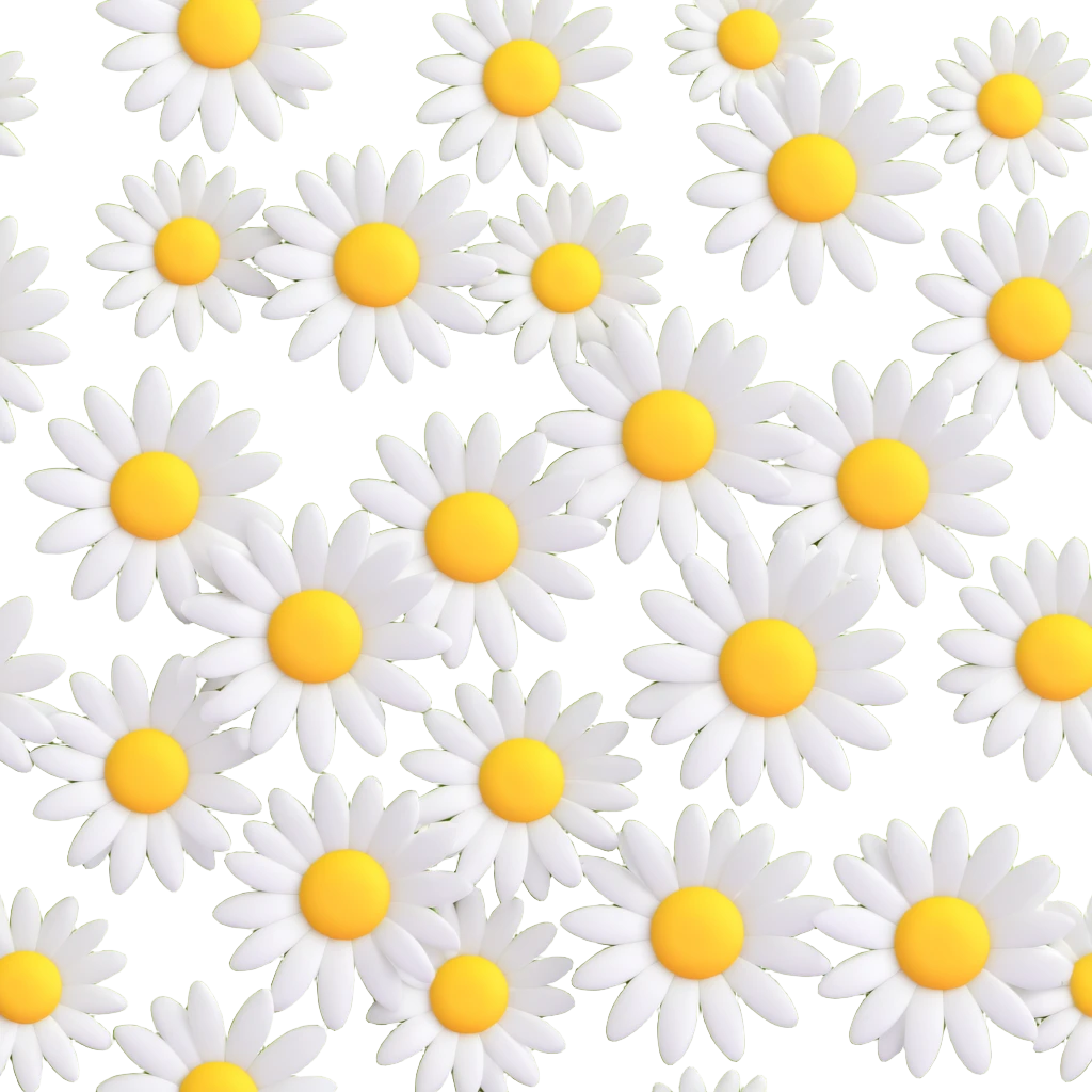 3D iOS-style daisies, realistic petals, soft lighting, white and yellow colors emoji