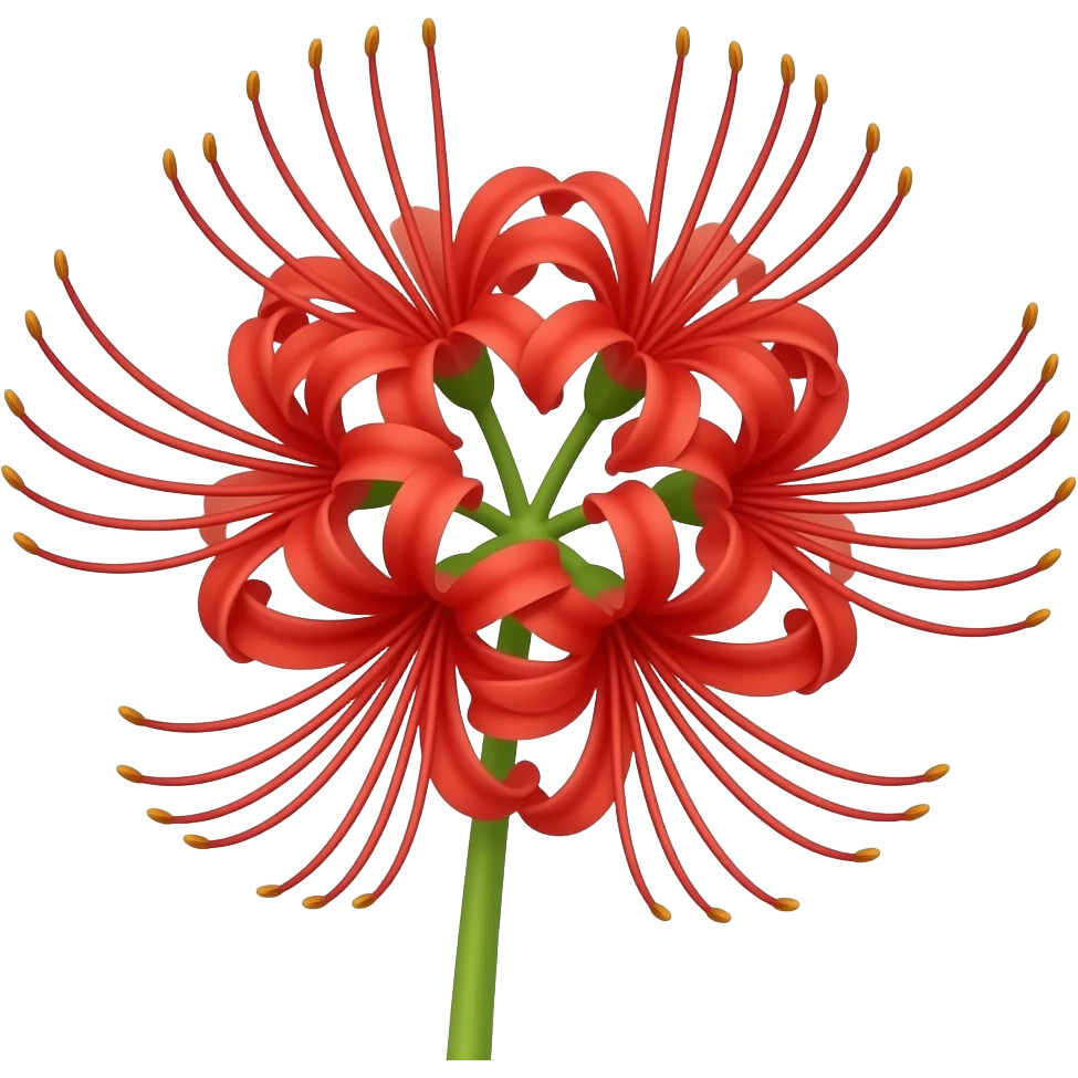 Red spider lilly emoji