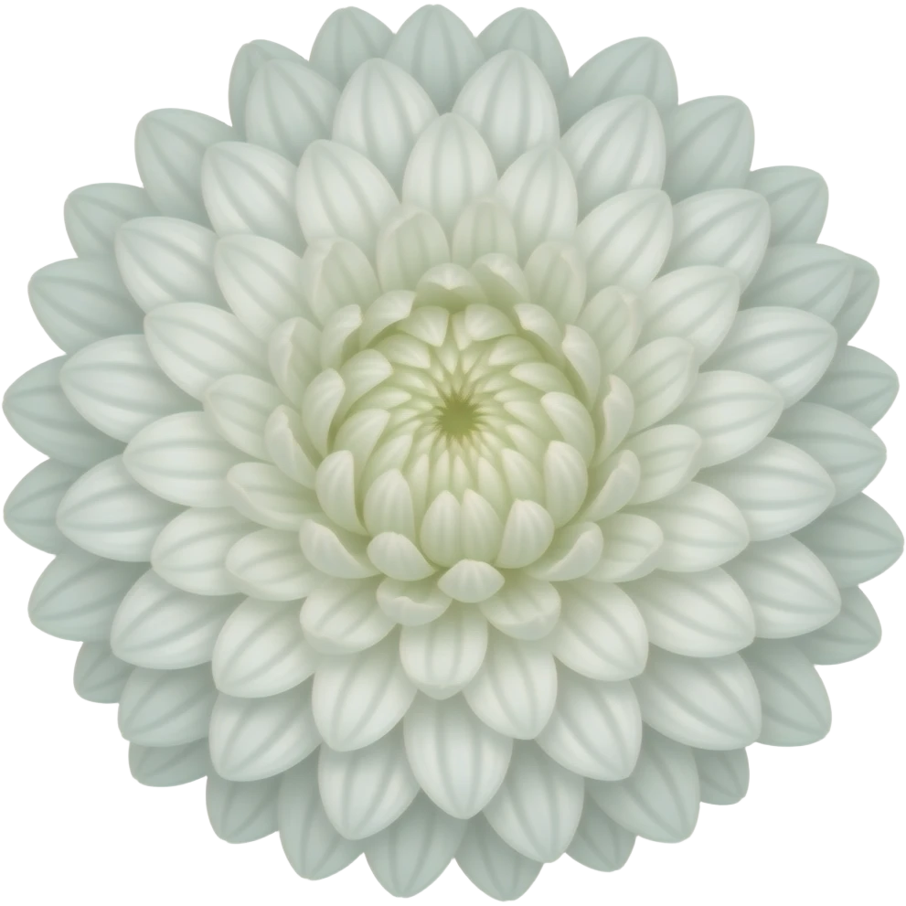 White crysenthemum flower emoji