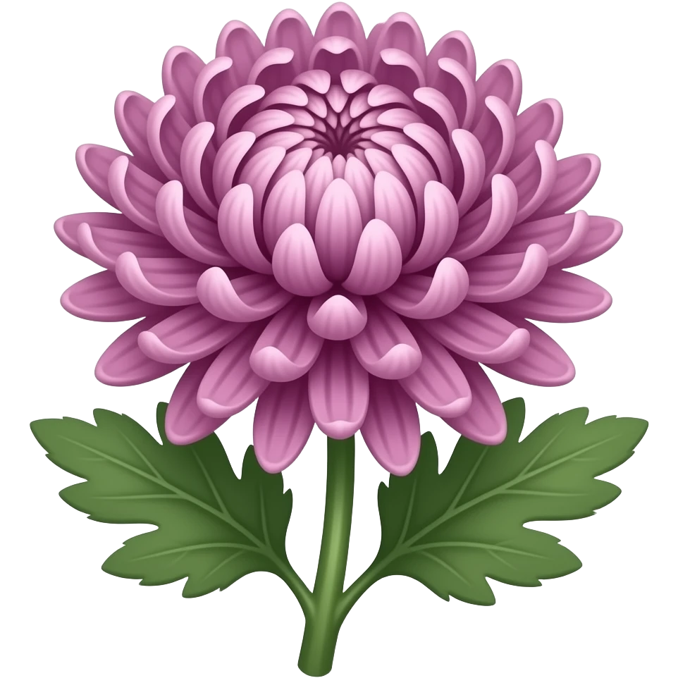 Elegant Mauve japanese chrysanthemum with stem and leaves emoji