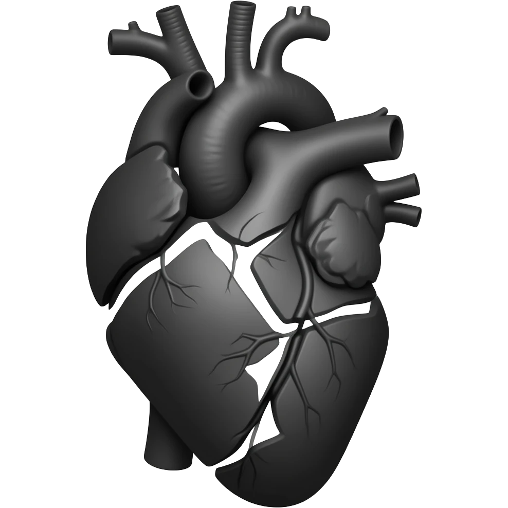 Siyah kırılmış anatomik kalp emoji
