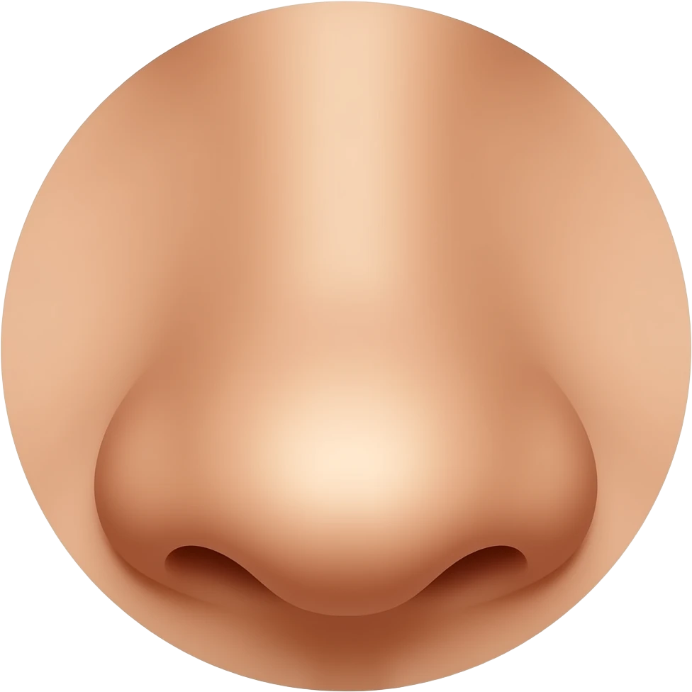 A small nose with very clearly visible nostrils emoji