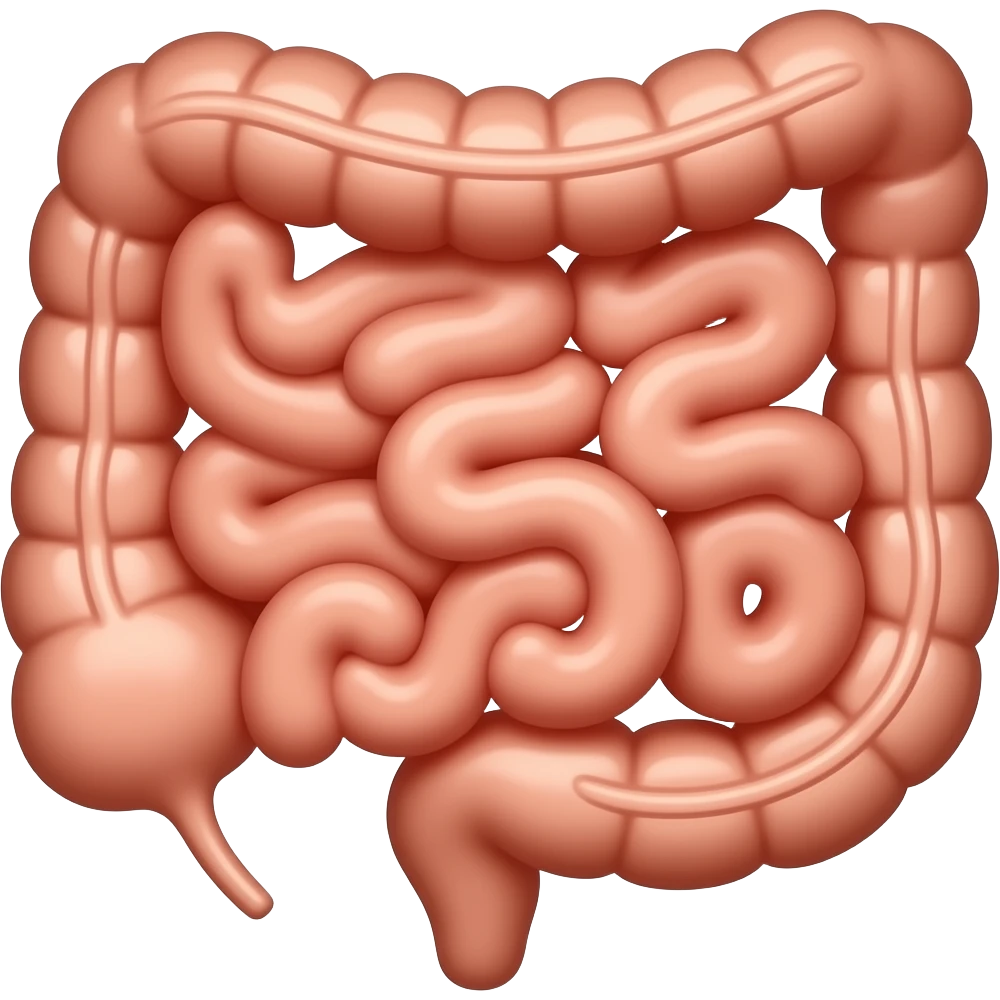 intestinos del abdomen emoji