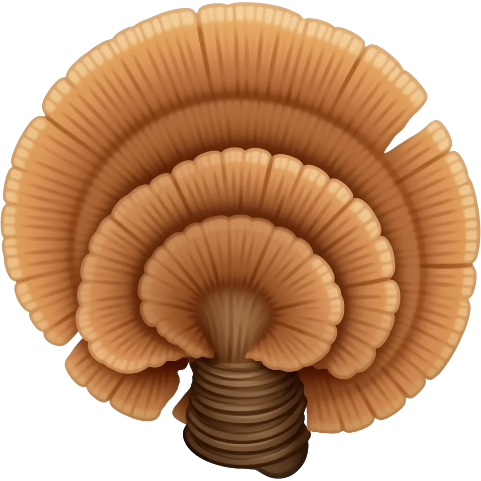 Turkey Tail mushroom emoji