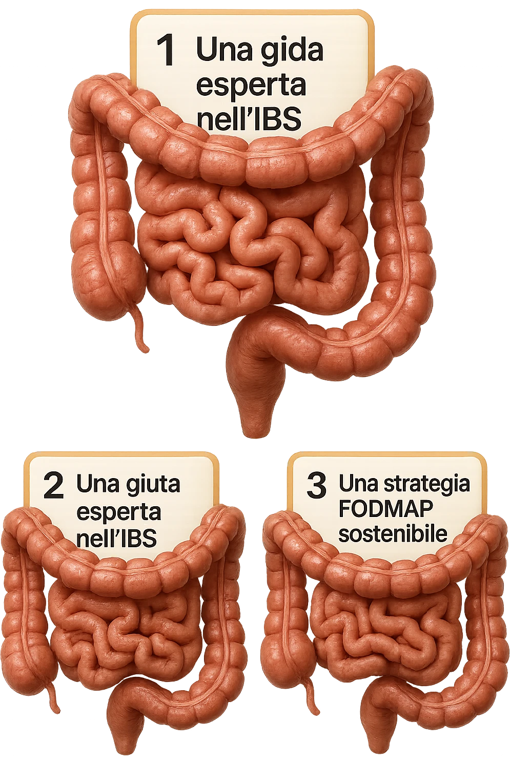 emoji stile iphone di 3 targhette numerate con intestino realistico davanti ad ogni targhetta, le targhette sono:
"1 – Un piano chiaro e strutturato
2 – Una guida esperta nell’IBS
3 – Una strategia FODMAP sostenibile"
, iperrealistico 4k emoji