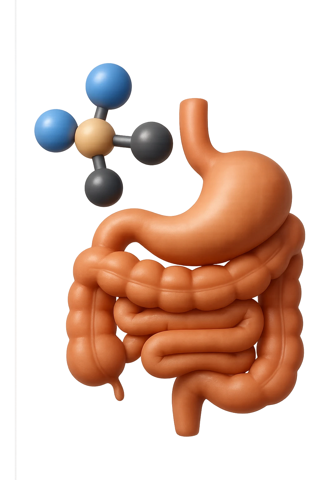 emoji stile iphone in 3d di istamina molecola con intestino, iperrealistico 4k emoji