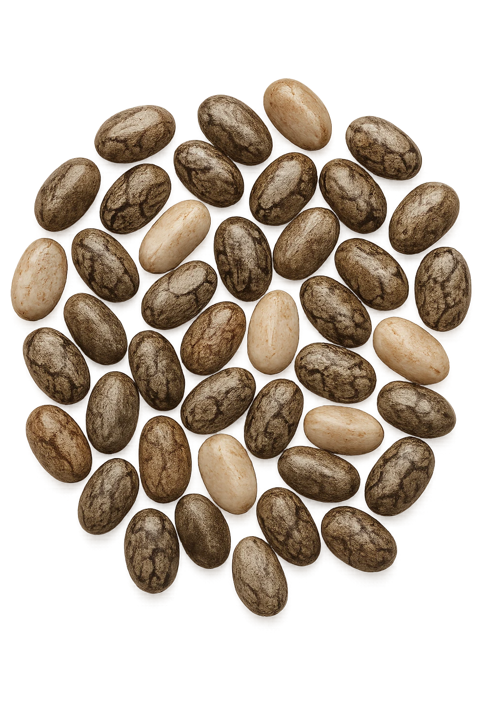 semi di chia visti dall'alto emoji