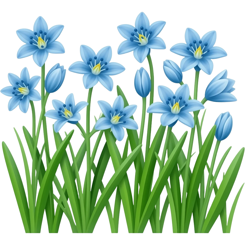 A patch of Scilla flowers transparent background emoji