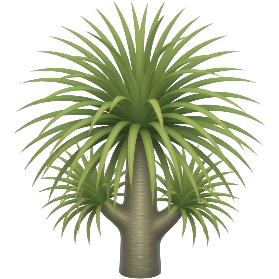 queensland bottle tree, thin stick stem, stick-like thin leaves, extremely sparse, widely spaced apart, 3 leaves on each side, soft emoji