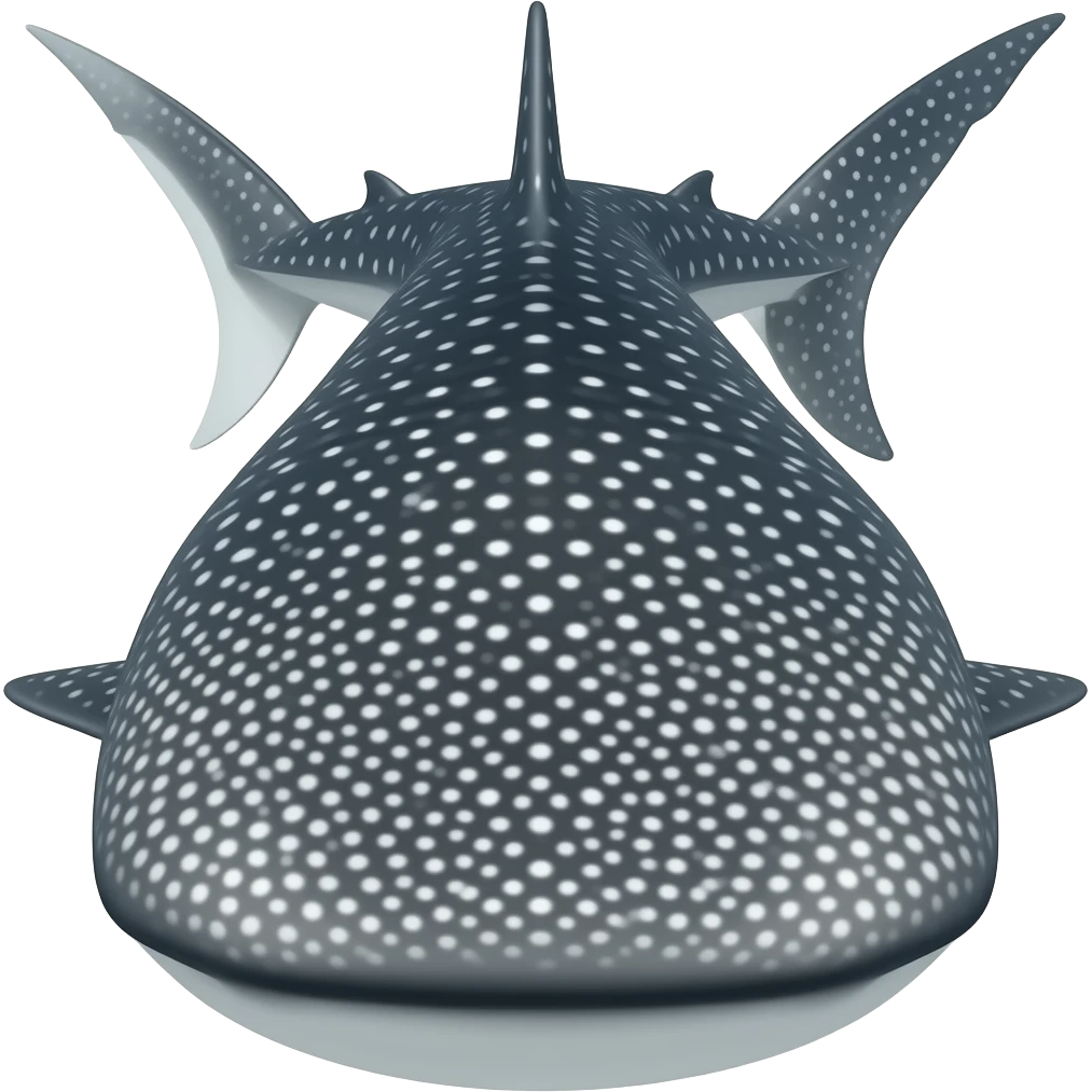 A real whale shark view from above with a bigger head emoji