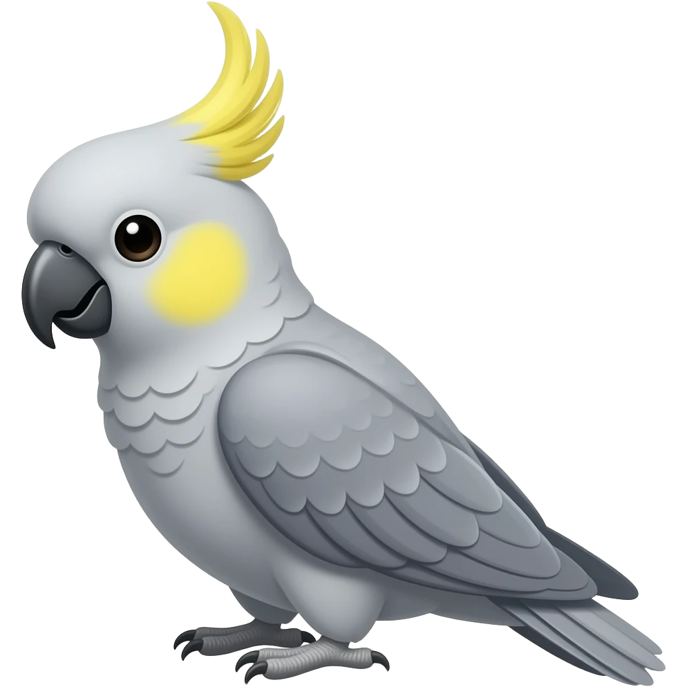 una cacatua ninfa con el cuerpo de color gris y con sus mejillas amarillas su cabeza de color gris y su cresta del color del cuerpo y asla un poco mas flaca emoji