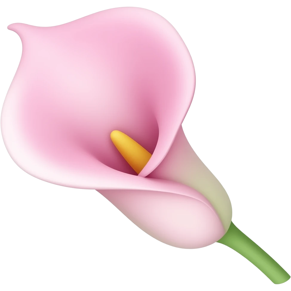 pink calla lily with a stem emoji