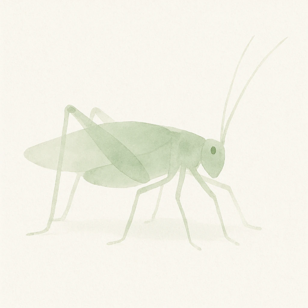 watercolor painting of katydid, soft green tones and delicate brushwork emoji