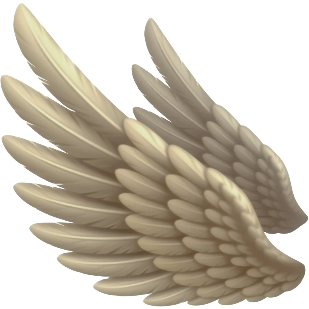 Wings emoji